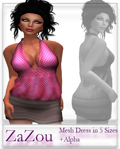 ZaZou Sweetnes Mesh Dress 3