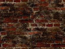 タイル張りの壁 3.4 すべての権限