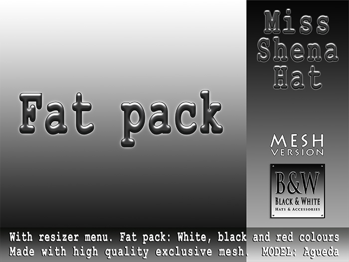 ArisArisB&W Pour Femme - Miss Shena Hat - Fat pack - MESH