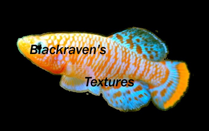Salt Water Gold fish