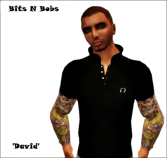 David Skin/Shape *FULL PERMS!! EXCELLENT QUALITY PROMO PRICE!!**