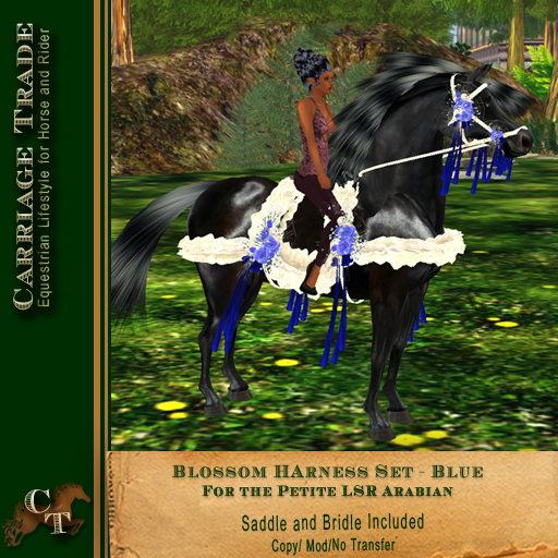 @CTM@ Blossom HarnessTack Set (Lone Star Ranch Petited) Blue