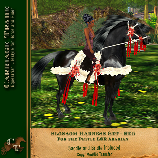 @CTM@ Blossom HarnessTack Set (Lone Star Ranch Petited) Red
