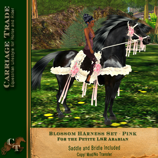 @CTM@ Blossom HarnessTack Set (Lone Star Ranch Petited) Pink