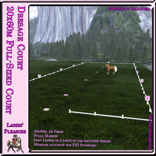 ~LP~ Full-sized Dressage Court