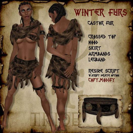 Winter Furs [Castor Fur]