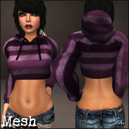 Souled Out Cropped Maroon Stripe Sweater