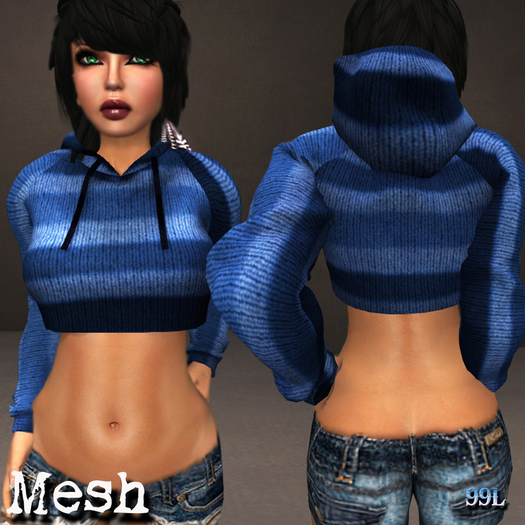 Souled Out Cropped Blue Stripe Sweater