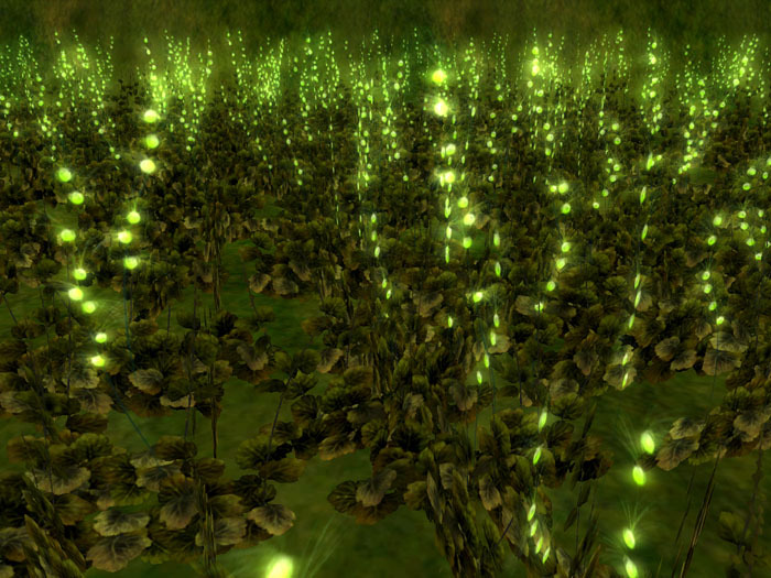 sweet eighch_green