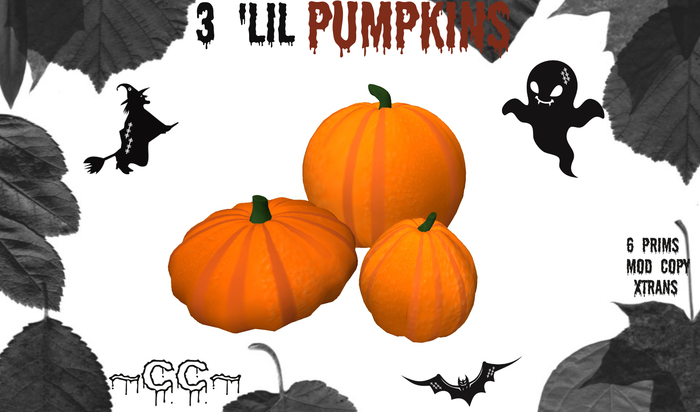 3 'lil Pumpkins