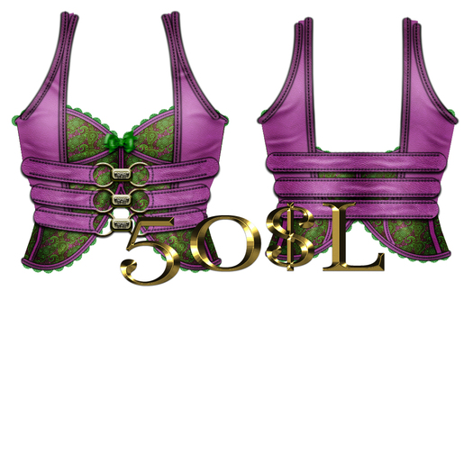 Purple and Green paisley/corset/vest
