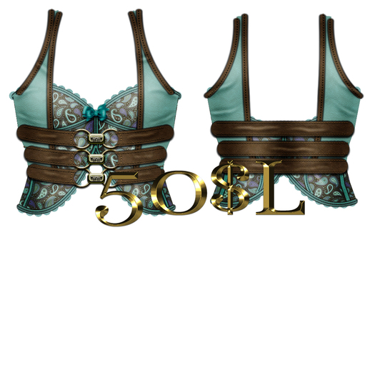Teal and Brown Paisley Corset/vest