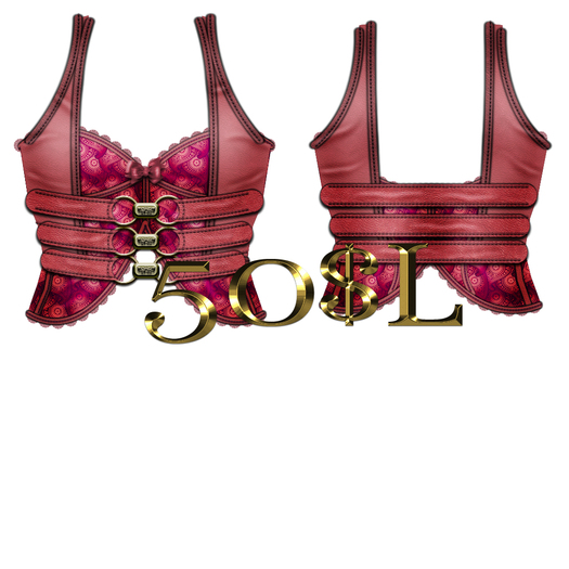 Red Paisley Corset/Vetst 2nd edition