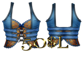 blue & gold paisley corset/vest