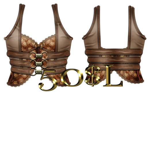 Brown Paisley Corset/Vest 2nd Edition