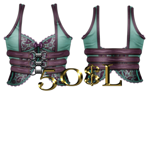 Teal and purple paisley corsette/vest