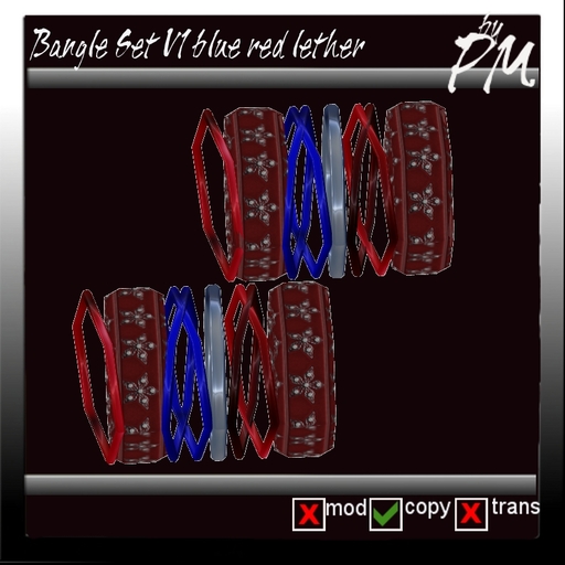 *PM* Bangle Set V1 Lether blue red