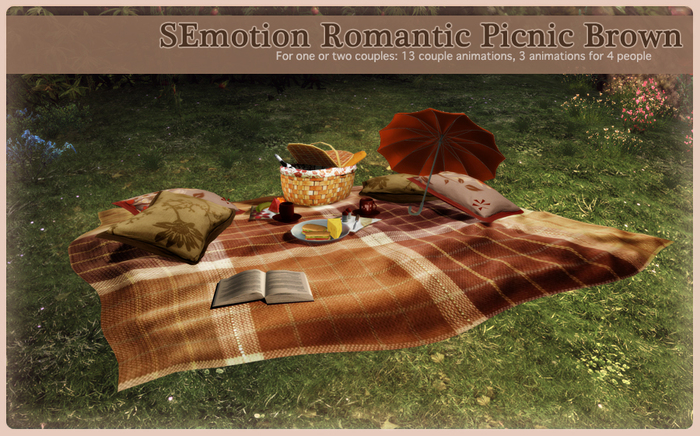 SEmotion Romantic Picnic Brown Box