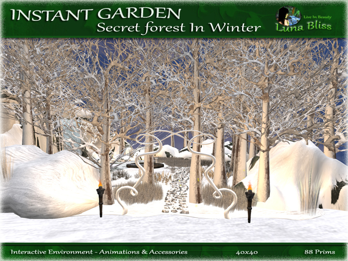 Instant Garden Secret Forest In Winter