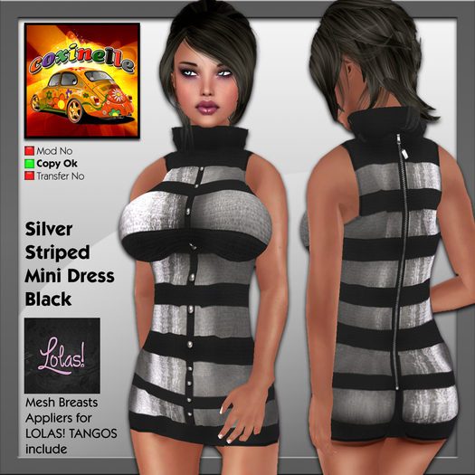 Coxi - Silver Striped Mini Dress Black with Lolas Tango