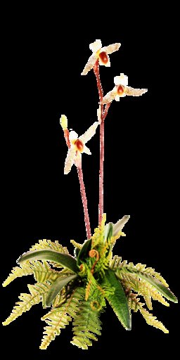 KMR-Arrangement-004