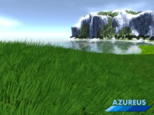 {Azureus} Half Prim Grass