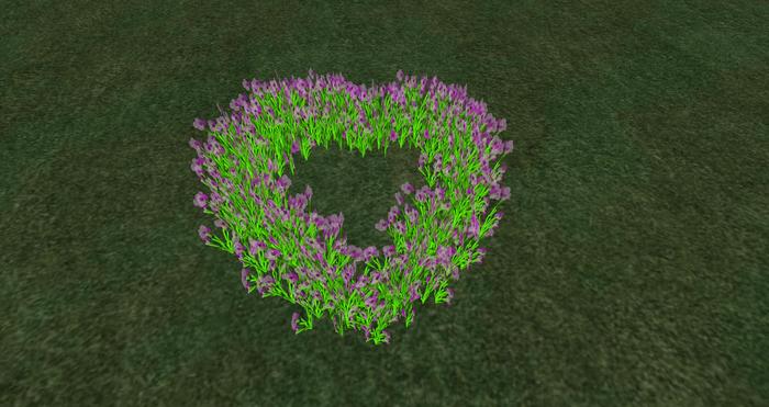 Hearts - Fields of flowers - Boxed