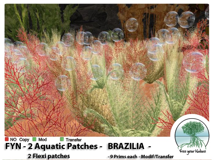 FYN -  AQUATIC - BRAZILIA