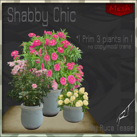 Shabby Chic  Medley Mesh v1