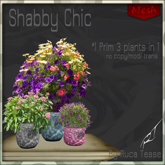 Shabby Chic  Medley Mesh v1