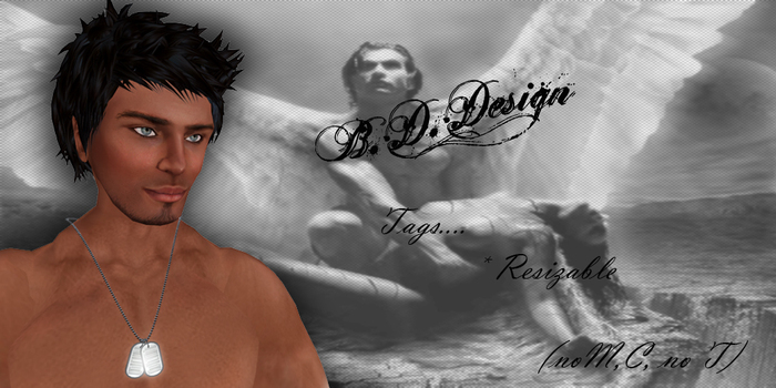.::B.D.Design::.Tags male