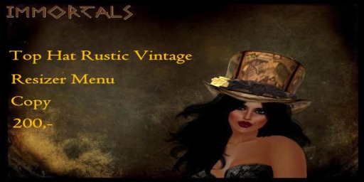 IMMORTALS TOP HAT RUSTIC VINTAGE