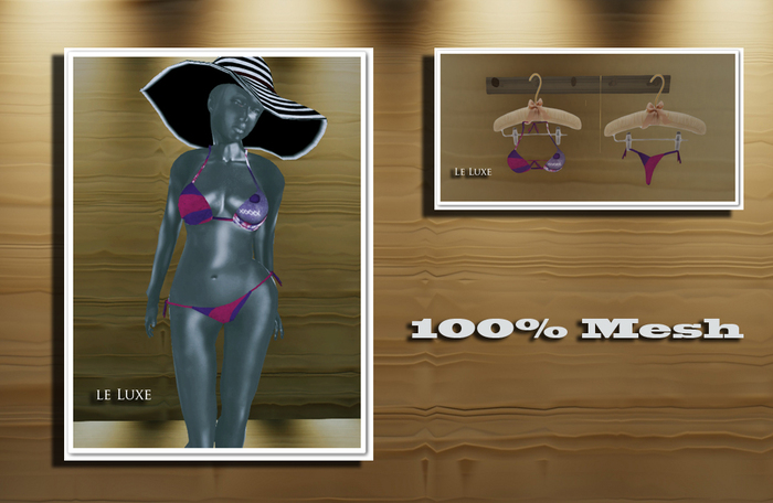 Le luxe Bikini harmony