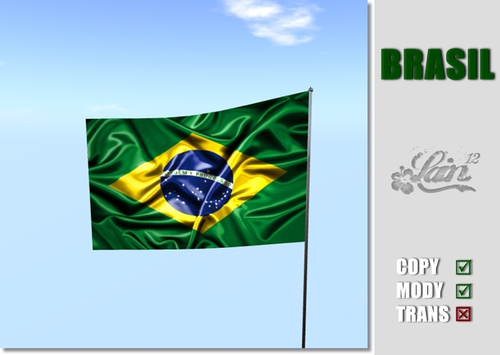 ::::* Brasil-Flag *:::: -L.E-