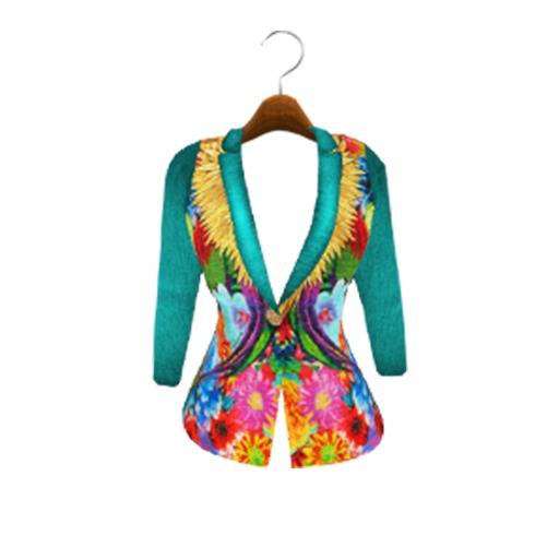 ip. Cavalli Blazer