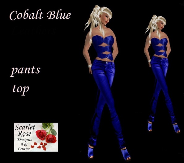 S.R.D. COBALT PANTS AND TOP