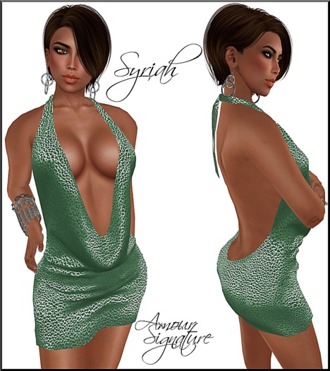 Amour Signature - Syriah MESH Dress - Graze