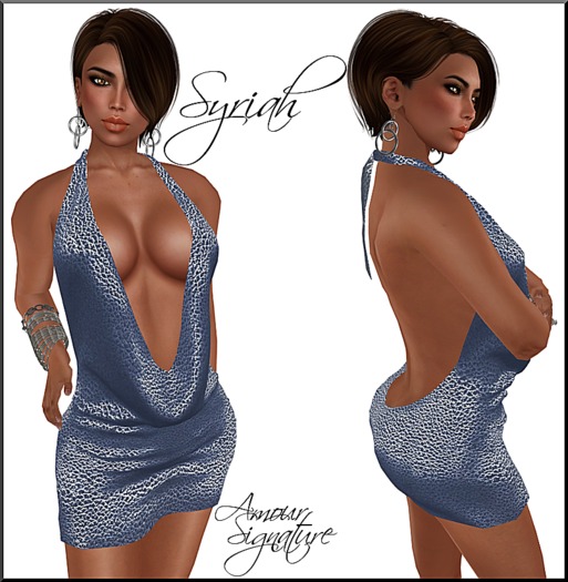 Amour Signature - Syriah MESH Dress - Blue