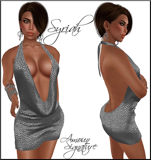 Amour Signature - Syriah MESH Dress - Silver