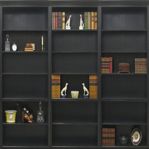 Un-Needed Things Three Section Bookcase