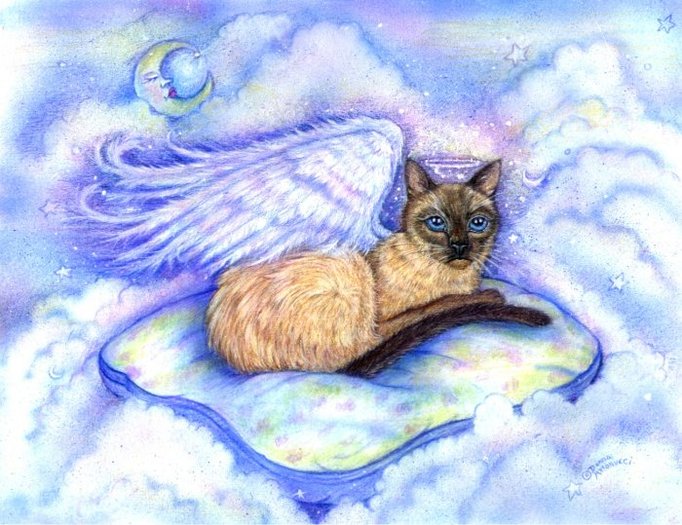 kitty angel gesture