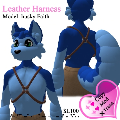 Leather Harness (Box)