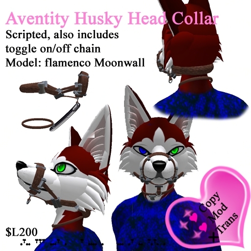 Aventity Husky Headcollar (Box)