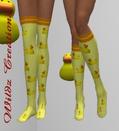 ~WC~ Ducky socks boxed