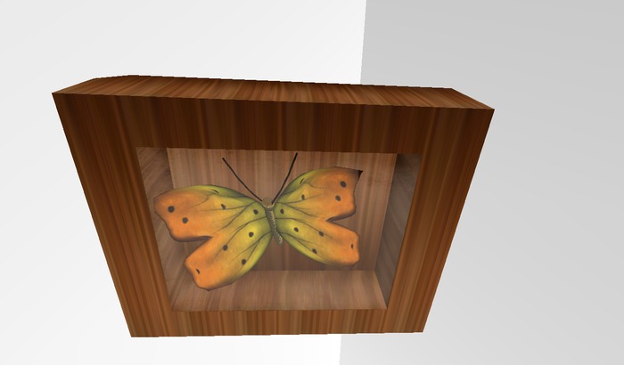 ~FT~ butterfly framed decoration