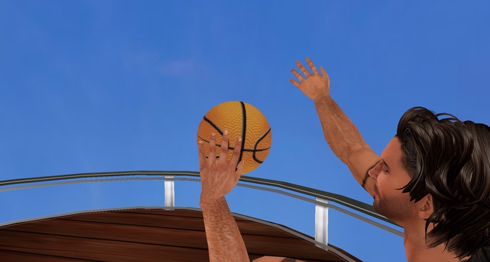 Basketball and pose