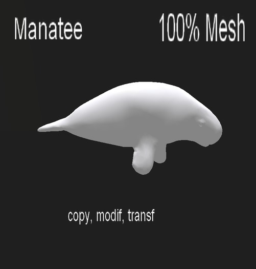 <hs> MANATEE 100% Mesh ( Full Perm )