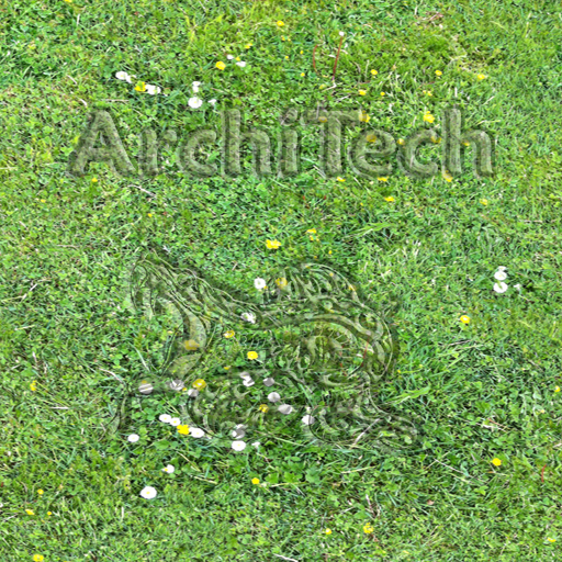 Spring Grass: Commercial Use (An original ArchiTech Design Texture to enhance your landscaping and building products).
