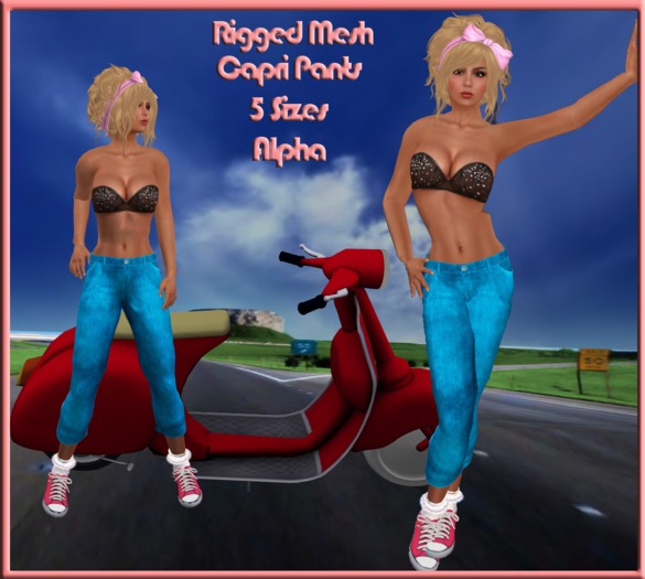 Capri Pants Blue