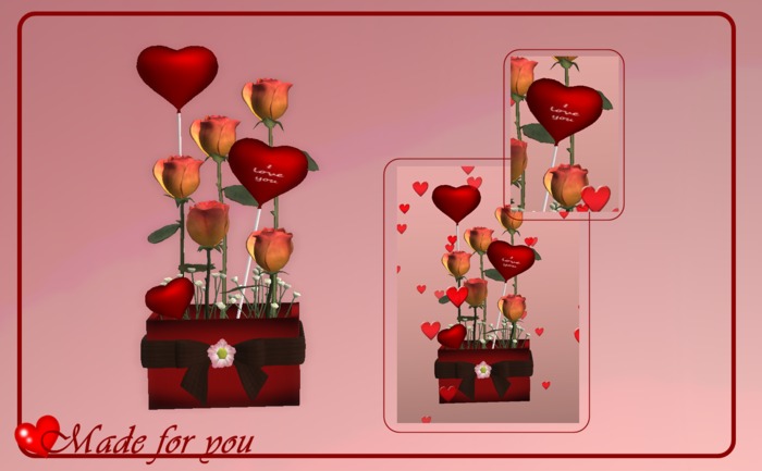 Double Dream - Peach Roses